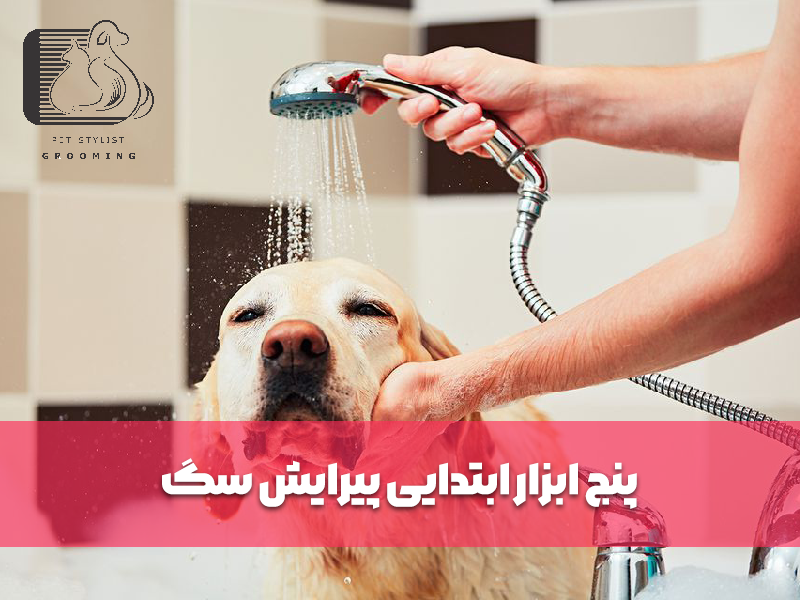 پنج ابزار ابتدایی پیرایش سگ